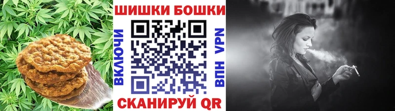 blacksprut ССЫЛКА  Олонец  Canna-Cookies марихуана  цена  