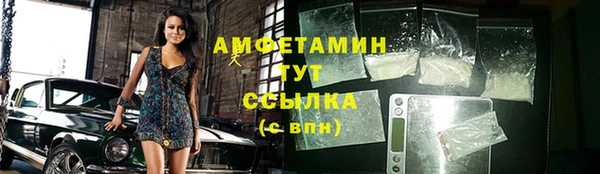 прущие грибы Баксан
