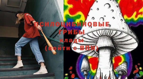 прущие грибы Баксан