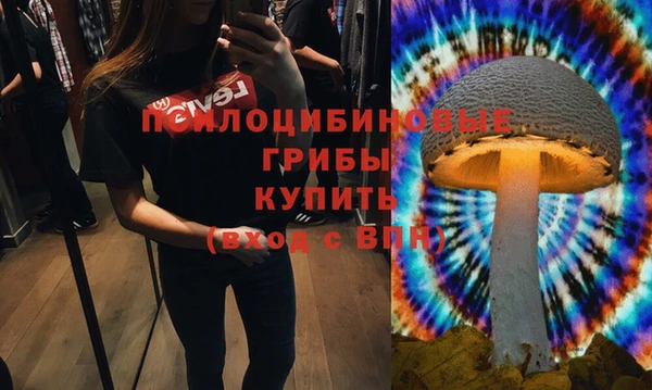 ALPHA PVP Арсеньев