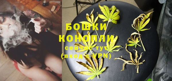 прущие грибы Баксан