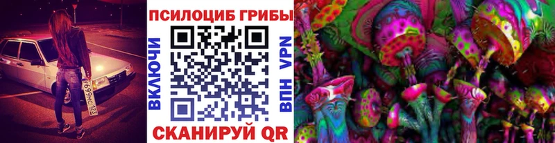 Псилоцибиновые грибы мухоморы  наркотики  блэк спрут вход  Олонец 
